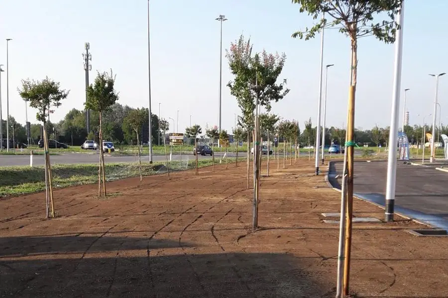 Gestione cantiere aree verdi